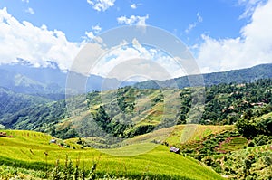 Vietnam landscape: Rice Terraces at Mu Cang Chai, Yen Bai, Viet Nam