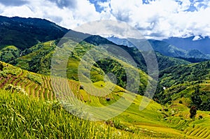 Vietnam landscape: Rice Terraces at Mu Cang Chai, Yen Bai, Viet Nam