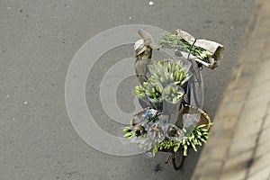 Hanoi, Vietnam -Local street vendor on city center of Hanoi, Vietnam