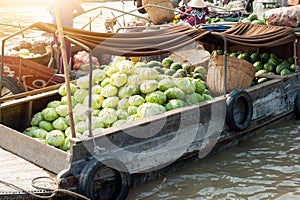 Vietnam, Mekong river delta