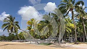 Vietnam Phu Quoc sandy beach with palm trees and turquoise sea Island. Summer holidays background - sunny tropical