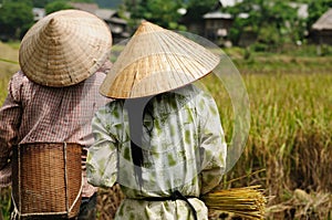 VIetnam - rural scene