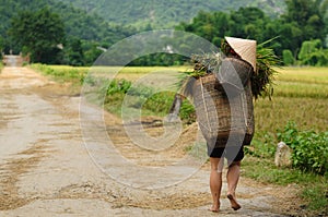VIetnam - rural scene