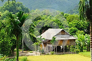 VIetnam - rural scene