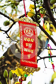 Vietnamese and Chinese New Year decoration on a background of yellow flowers. The inscription is translated - Great Consciousness