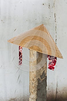 Vietnamese conical hat