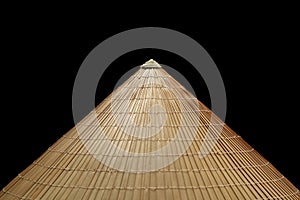 Vietnamese conical straw hat