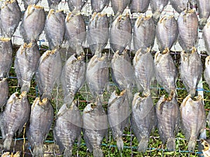 The Vietnamese cuisine: seafood - dried fish