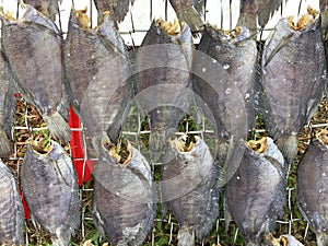 The Vietnamese cuisine: seafood - dried fish