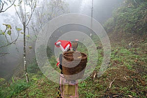 Vietnamese ethnic minority Red Dao women in traditional dress and basket on back in misty forest in Lao Cai, Vietnam