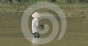 Vietnamese female worker cleaning water from weed