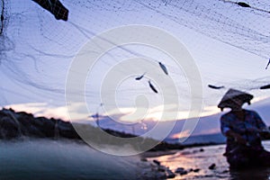 Vietnamese fisherwoman with conical hat check her nets for the catch fish from the beach