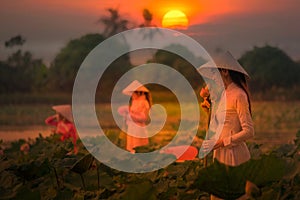 Vietnamese girl picking lotus flowers