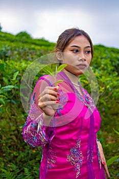 a Vietnamese girl is standing in the middle of a tea garden while carrying a bamboo basket and holding a bamboo hat
