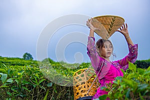 a Vietnamese girl is standing in the middle of a tea garden while carrying a bamboo basket and holding a bamboo hat