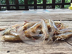 The Vietnamese greasyback shrimp or sand shrimp, Metapenaeus ensis