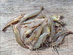 The Vietnamese greasyback shrimp or sand shrimp, Metapenaeus ensis