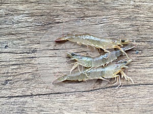 The Vietnamese greasyback shrimp or sand shrimp, Metapenaeus ensis