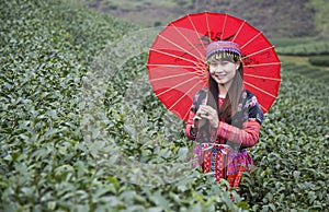 Vietnamese Hmong minority ethnic girl in traditional costume picking tea bud