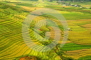 Vietnamese Landscape Rice Field terraces