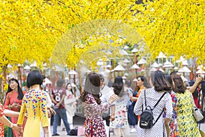 Vietnamese lunar new year. Women wear Vietnam tradition ao dai to take pictures on street with yellow flower apricot in Tet