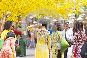 Vietnamese lunar new year. Women wear Vietnam tradition ao dai to take pictures on street with yellow flower apricot in Tet