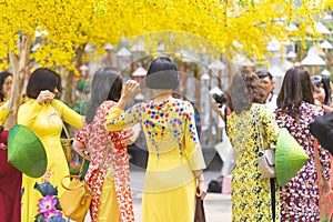 Vietnamese lunar new year. Women wear Vietnam tradition ao dai to take pictures on street with yellow flower apricot in Tet