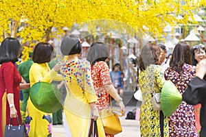 Vietnamese lunar new year. Women wear Vietnam tradition ao dai to take pictures on street with yellow flower apricot in Tet