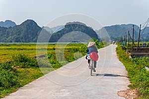 Vietnamese man rides beside Rice Fields and mountain landscapes in Ninh Binh, Northern Vietnam - Autumn 2019