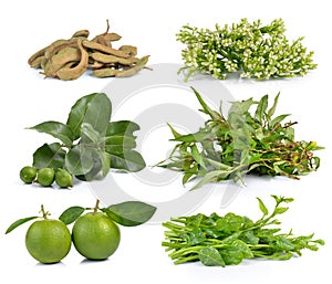 Vietnamese mint, Malabar spinach, sweet orange, macadamia, tamar