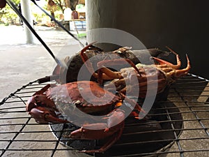 Vietnamese mud crab Scylla serrata BBQ crab or grilled crab