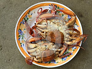 Vietnamese mud crab Scylla serrata BBQ crab or grilled crab