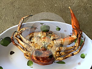 Vietnamese mud crab Scylla serrata BBQ crab or grilled crab