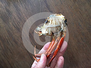 Vietnamese mud crab Scylla serrata BBQ crab or grilled crab