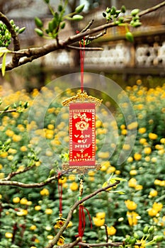 Vietnamese New Year decoration on a blurred background of yellow flowers.