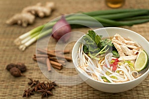 Vietnamese Pho soup