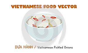 Vietnamese pickled onions with chilli and salt flat vector design. Dua Hanh clipart cartoon style. Asian food. Vietnamese cuisine