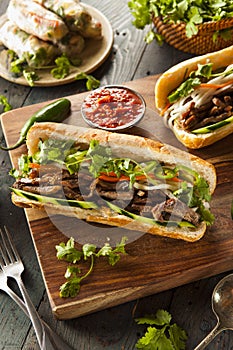 Vietnamese Pork Banh Mi Sandwich