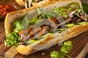 Vietnamese Pork Banh Mi Sandwich photo
