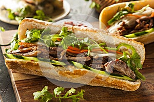 Vietnamese Pork Banh Mi Sandwich