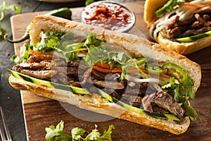 Vietnamese Pork Banh Mi Sandwich