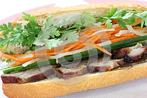 Vietnamese Sandwich