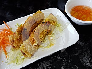 Vietnamese Spring Rolls on Plate