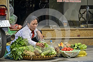 Vietnamese street vendor in Hanoi