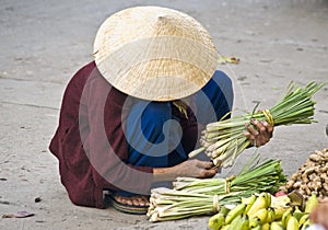 A vietnamese street vendor. Hoi An, Vietnam.