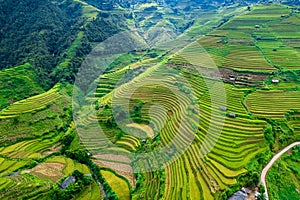 Vietnamese terrace ricefield aerial view