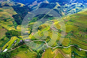 Vietnamese terrace ricefield aerial view