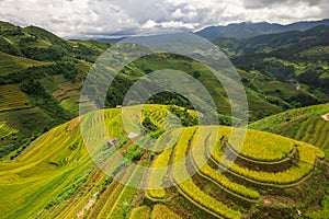 Vietnamese terrace ricefield aerial view