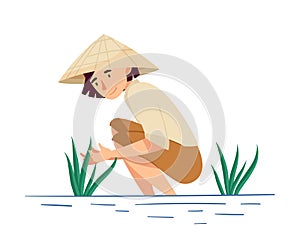 Vietnamese Woman Farmer in Straw Conical Hat Picking Rice Crop in Watery Ground Vector Illustration