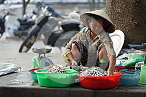 Vietnamese woman selling fish in washbowls